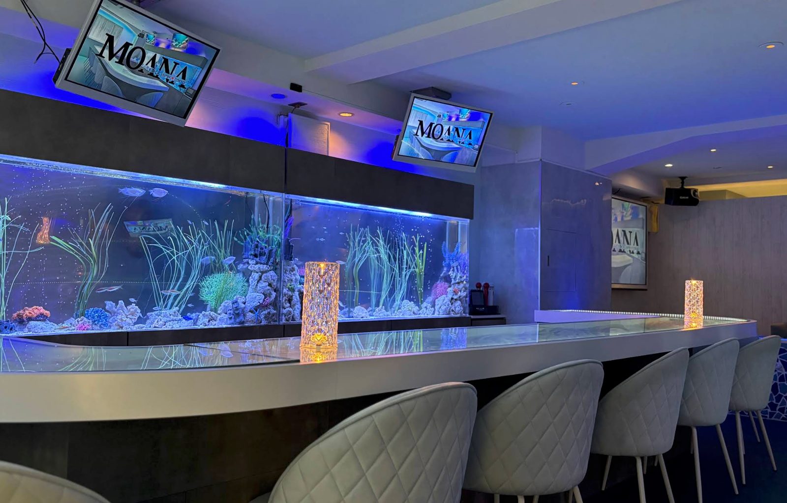 Bar&Lounge MOANA(モアナ) 店内写真